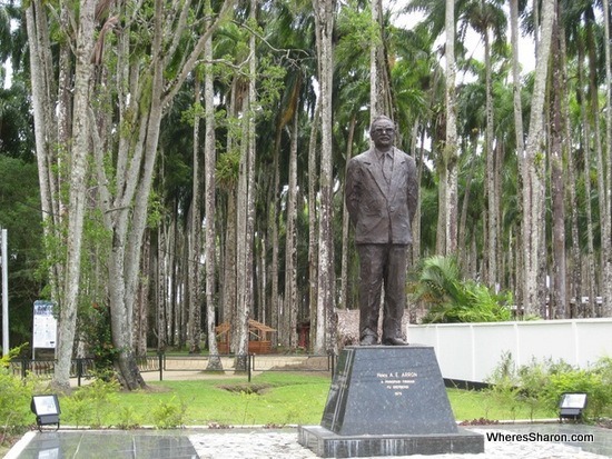 Palmentiun in paramaribo suriname