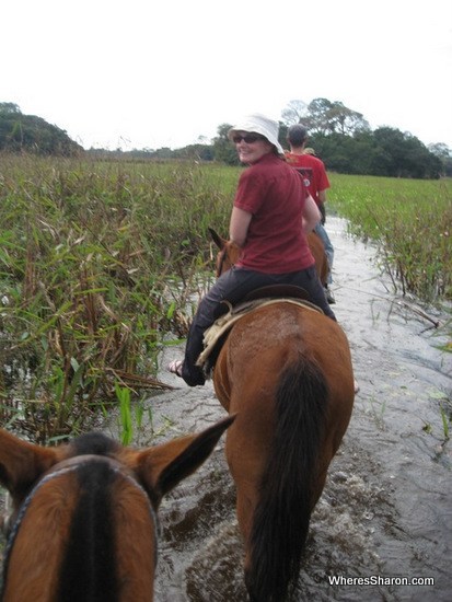 horse riding in the pantanal wetlands tour bazil