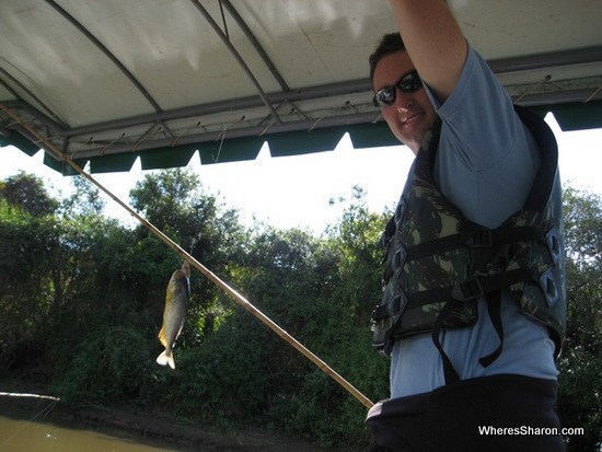 Pinranha fishing in the pantanal wetlands tour