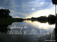 An amazing Pantanal wetlands tour