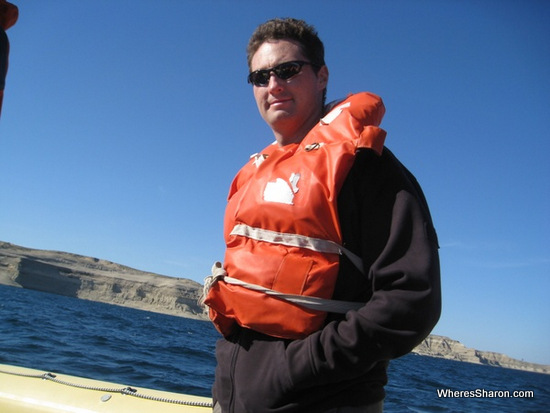 looking for Southern Right Whale in puerto madryn