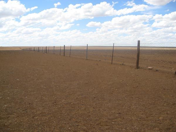 dingo fence in coober pedy