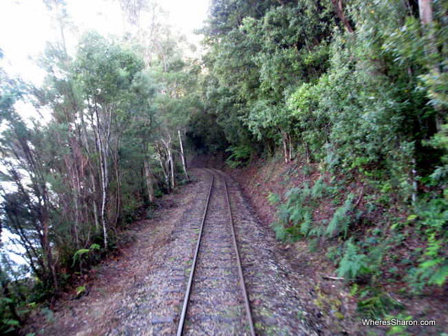 Views from the West Coast Wilderness Railway