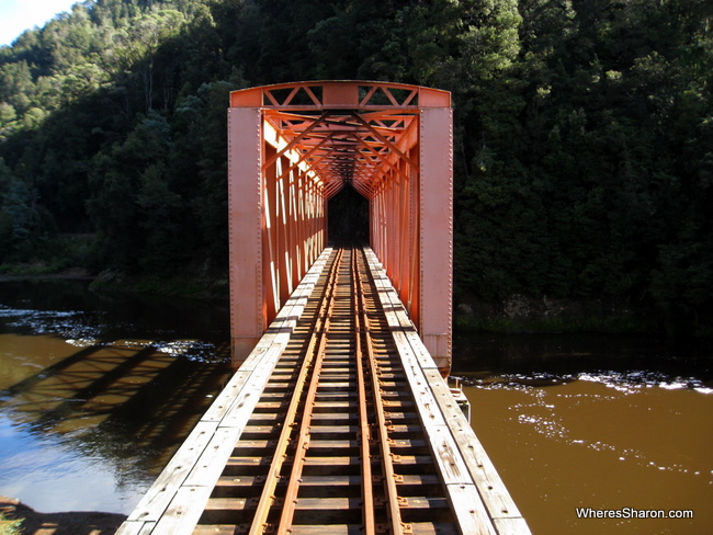 Views from the West Coast Wilderness Railway