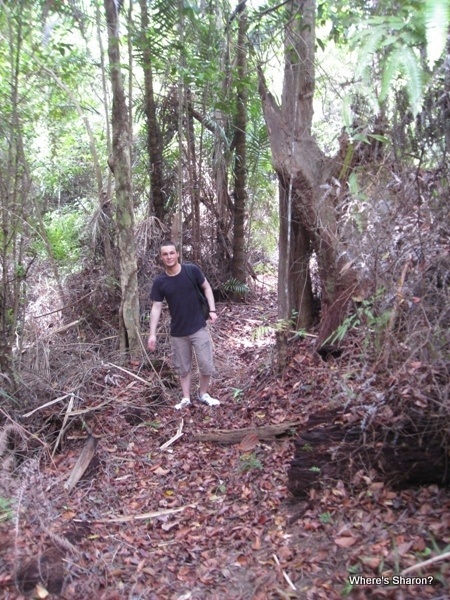 jungle trekking on Gaya Island