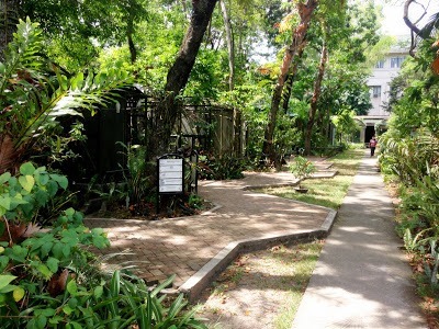 Nice pathways around the enclosures at Negros Forests and Ecological Foundation