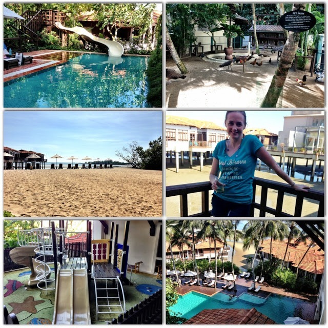 DIfferent images of Avillion Port Dickson malaysian resort. pool, animals, beach, drinks, water slide