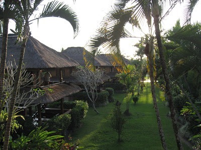 lovely ubud hotel bungalows with rice paddies