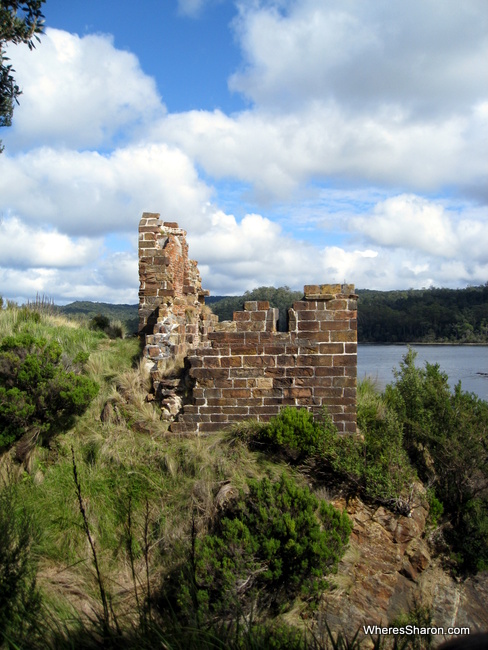 things to do in western tasmania gordon river