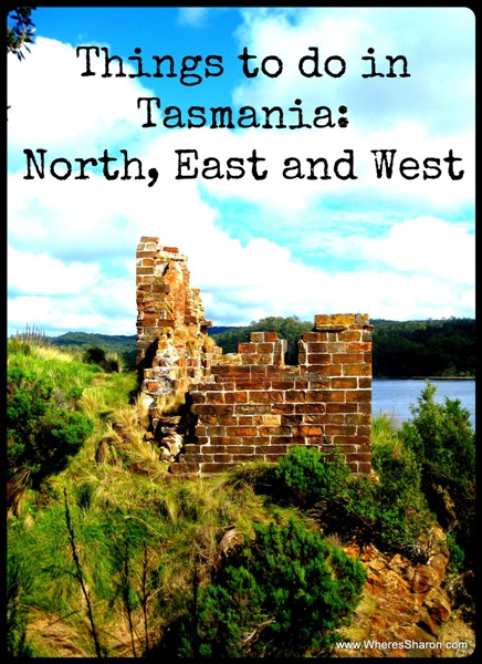 things to do in north east west tasmania