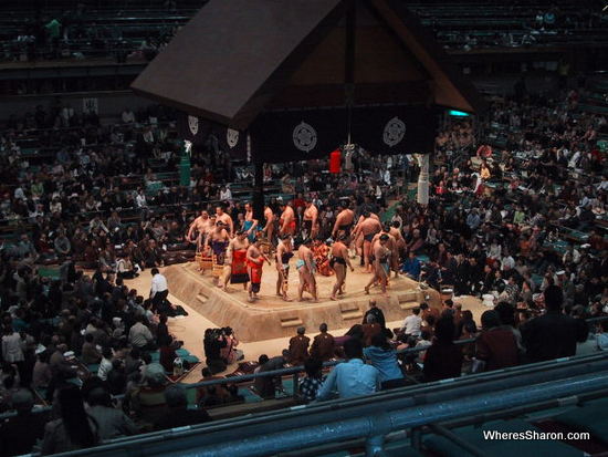 I would love to go to the sumo