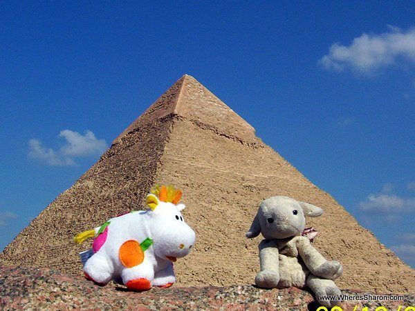 toy lamb and cow at Giza Pyramids