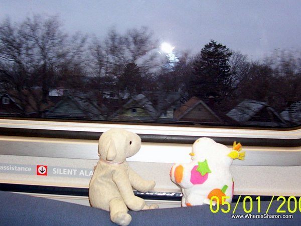 toy lamb and cow enjoy the New York subway