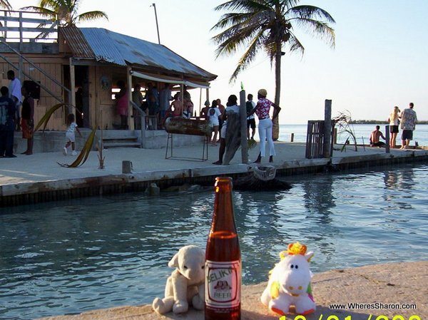 toy lamb and cow drinking a beer on Caye Caulker Belize