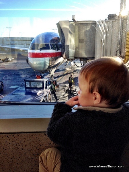 baby looking at planes out the window at LAX