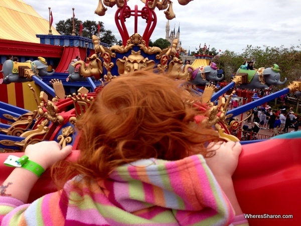 Enjoying the view from the Dumbo ride at disneyworld