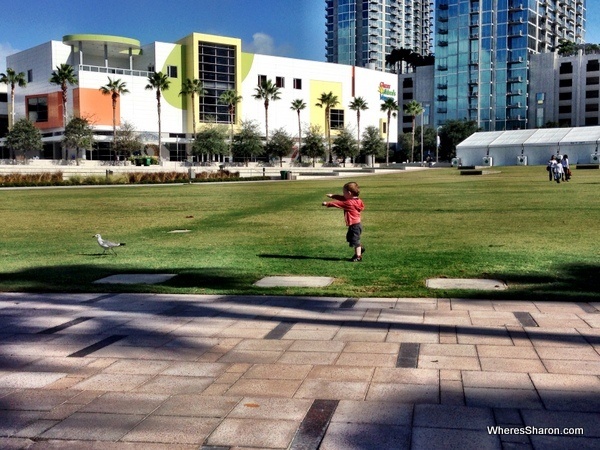 toddler chasing seagulls at tampa riverwalk