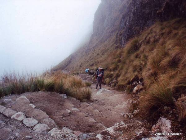 Looking down the walk up to dead womans pass on the inca trail