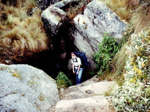 Hiking the Inca Trail up big steps