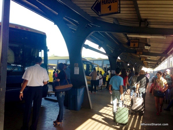 bus at the caribe bus terminal santo domingo