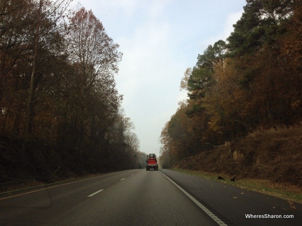 road between Vicksburg and Jacskon lined with big pretty trees