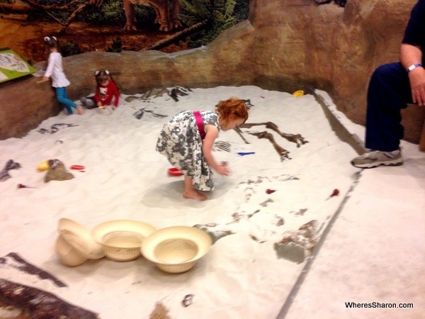 Digging for Dinosaur bones at Chattanooga Children's Creative Discovery Museum