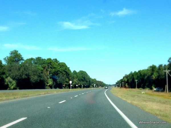 stretch of highway on way to Tallahassee with trees miami to new orleans drive