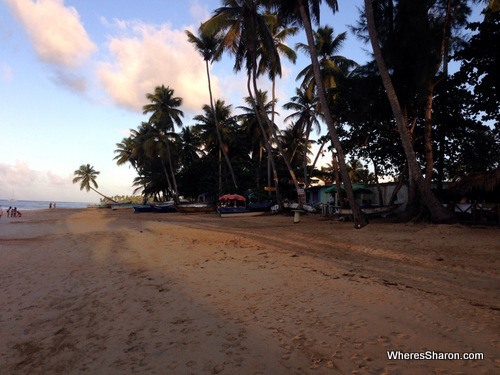 sheds las terrenas beach