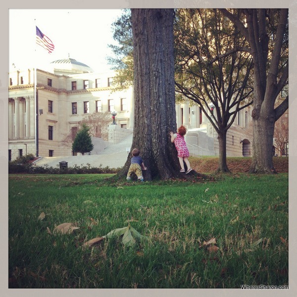 Mississippi State Capitol squirrel chasing