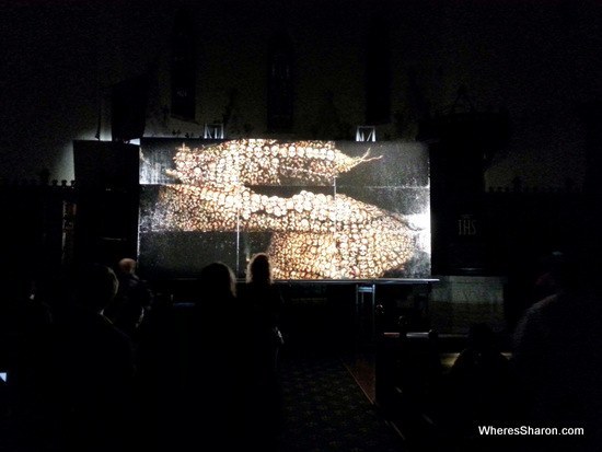 skull exhibit white night melbourne