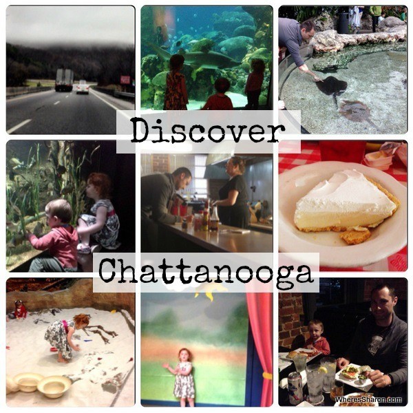 Tennessee aquarium, chattanooga childrens museum zarzours things to do with kids