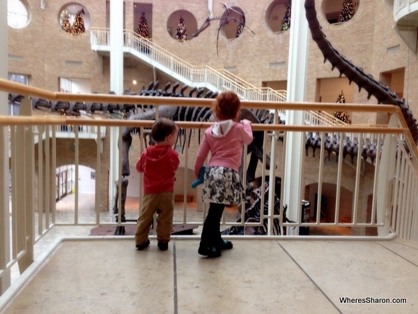 Big dinosaur at Fernbank Natural History Museum atlanta GA