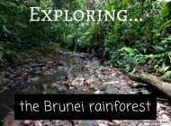 Exploring the pristine rainforests of Brunei