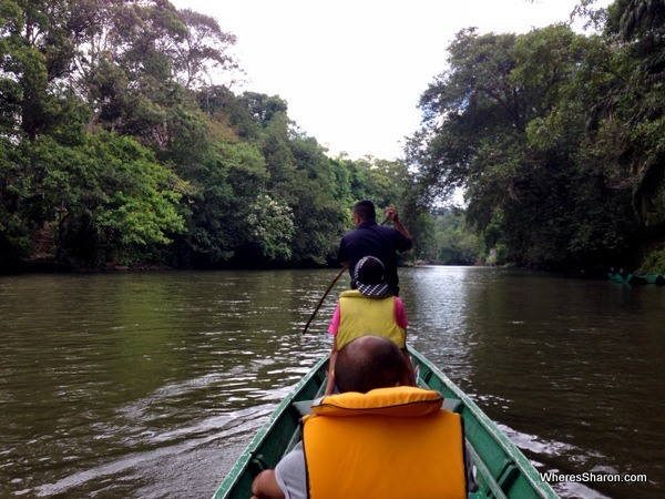 longboat on river in brunei rainforest