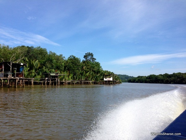 Views on the way to Bangar of Brunei rainforest