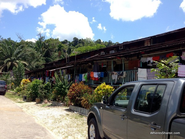 Longhouse in Brunei rainforest