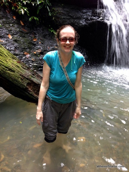 Fish eating my feet at ulu temburong national park