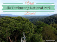 Borneo’s fabulous Ulu Temburong National Park