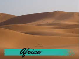 Africa Travel Blog