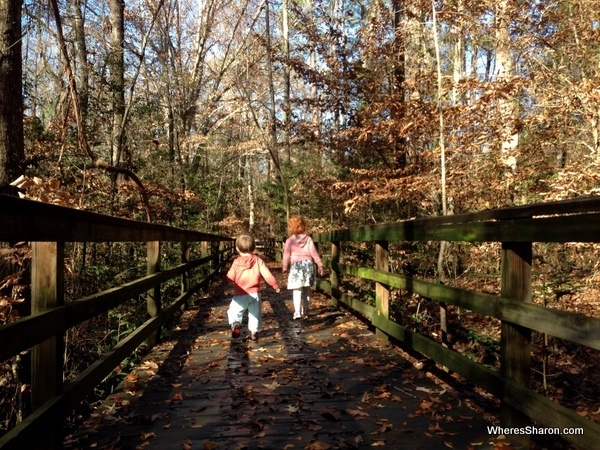 Walking the great boardwalks at Congaree National Park Columbia SC