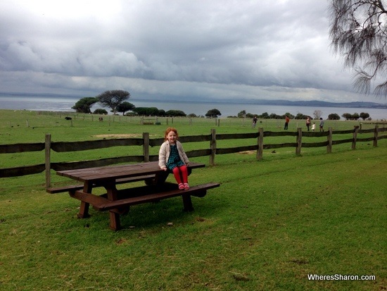 churchill island heritage farm views at phillip island nature parks