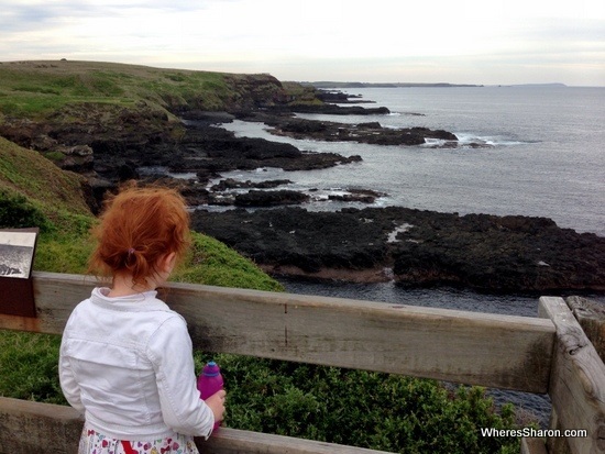 views at Nobbies Centre at phillip island nature parks