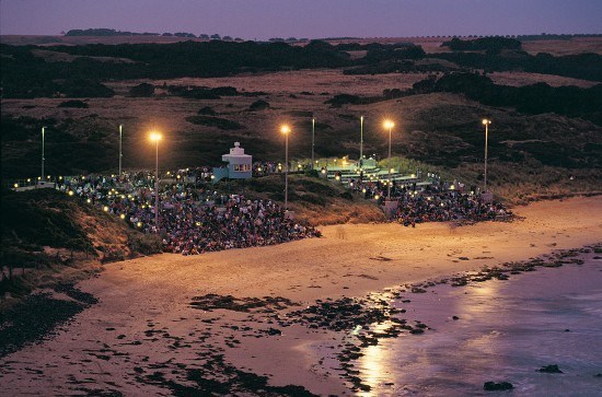 Penguin Parade beach bleachers