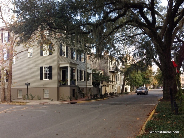 One of many pretty streets we walked along in Savannah stopover