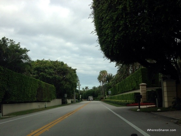 Driving around palm beach