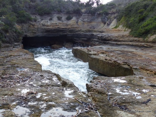 things to do on the tasman peninsular Blowhole