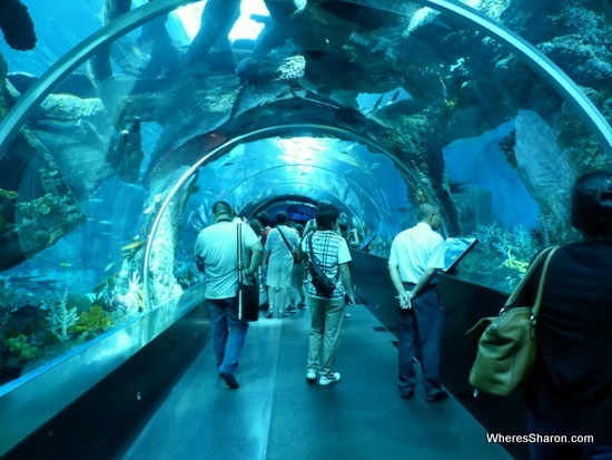 S.E.A. Aquarium Resorts world Sentosa