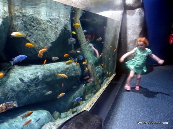 S.E.A. Aquarium Resorts world Sentosa