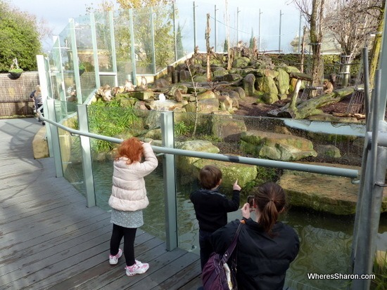 Checking out the monkeys in City Park