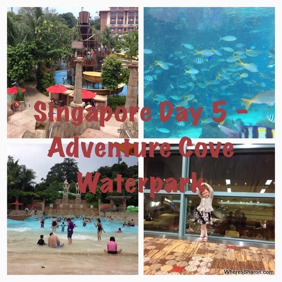 Adventure Cove Waterpark